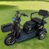 Электротрицикл Electrotrike Бумеранг 3000 черный