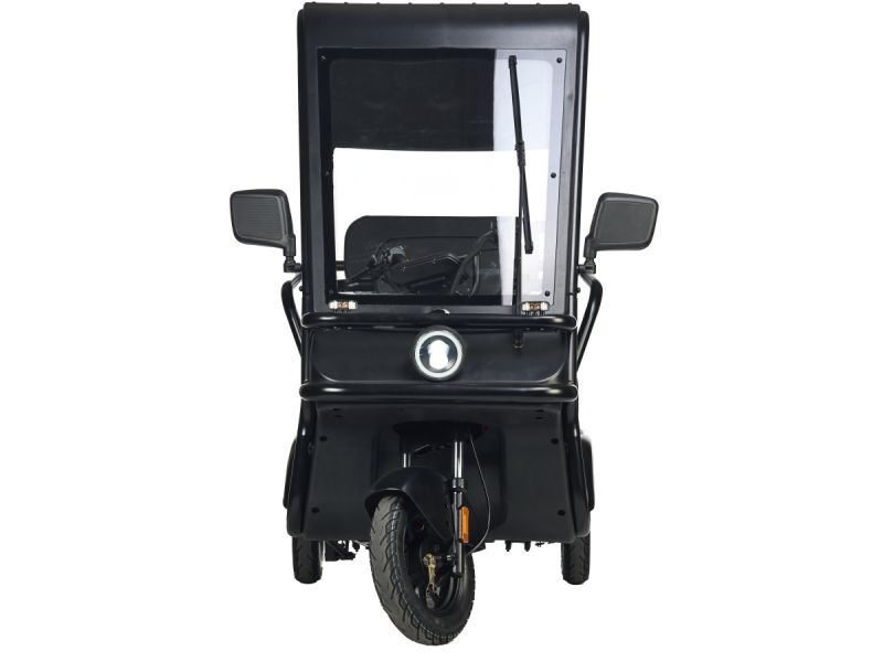 Электротрицикл Wanshida NIPLA 570 60V 1000Вт Электротрицикл Wanshida NIPLA 570 60V 1000Вт